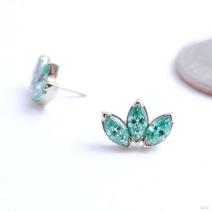 Marquise Fan Press-fit End in Gold from Anatometal with pistachio