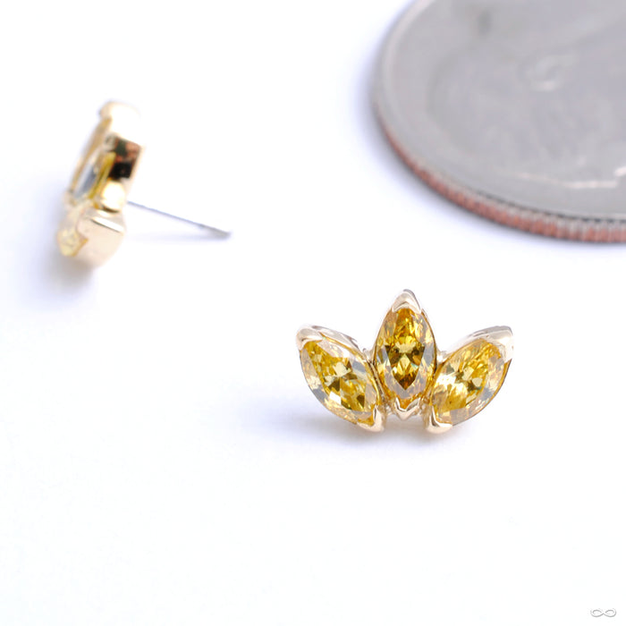 Marquise Fan Press-fit End in Gold from Anatometal with citrine