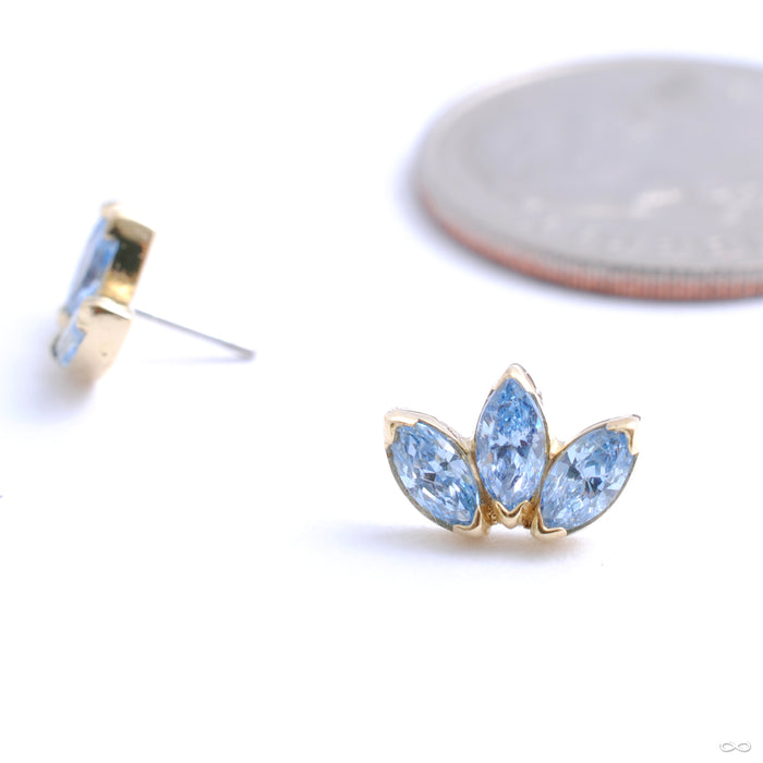 Marquise Fan Press-fit End in Gold from Anatometal with periwinkle