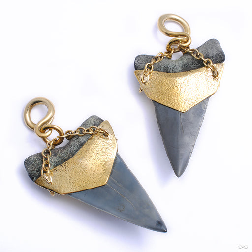 Megalodon Teeth in Brass with Opal from Diablo Organics back view
