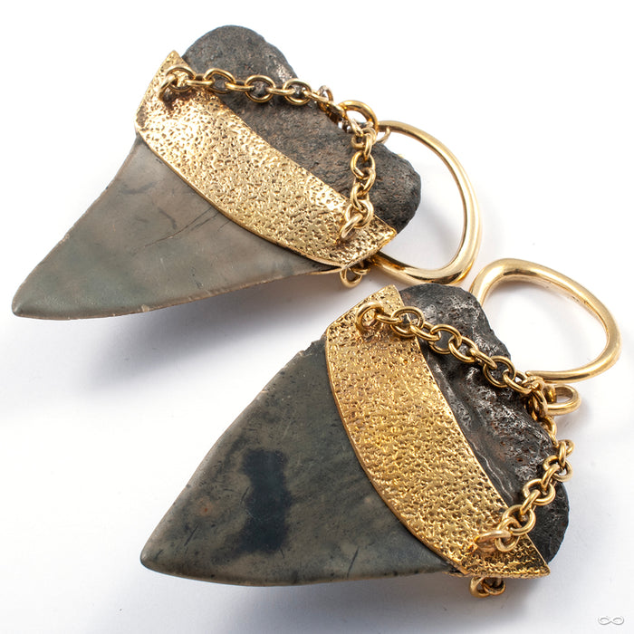 Megalodon Teeth with Labradorite and Brass Coils from Diablo Organics back detail