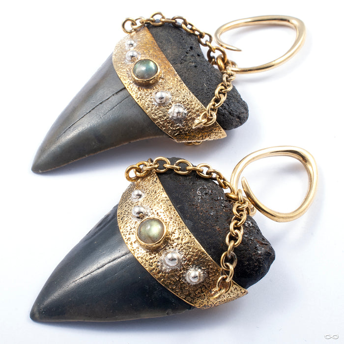 Megalodon Teeth with Labradorite and Brass Coils from Diablo Organics 8g