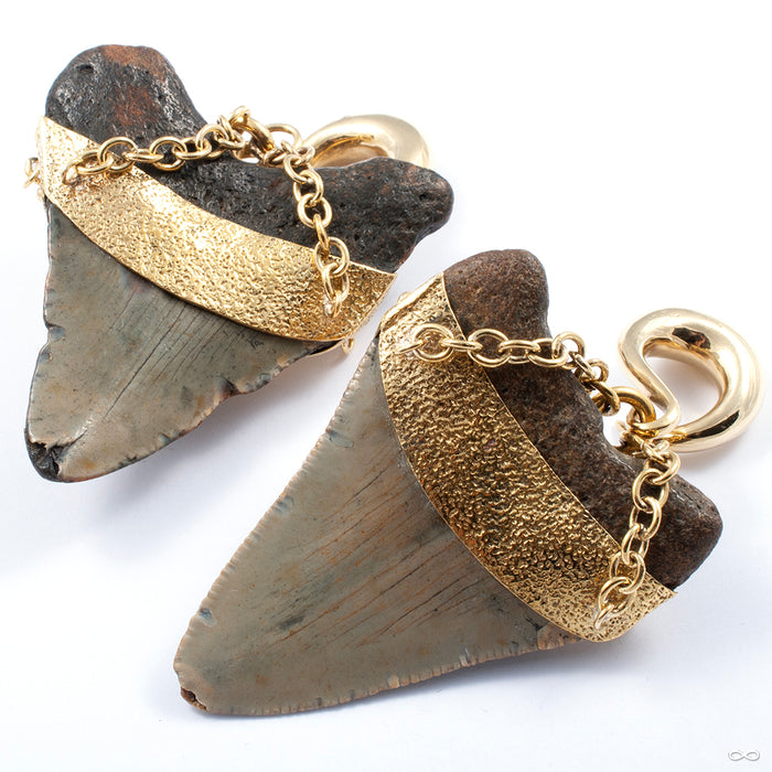 Megalodon Teeth with Laguna Agate and Brass Coils from Diablo Organics back detail