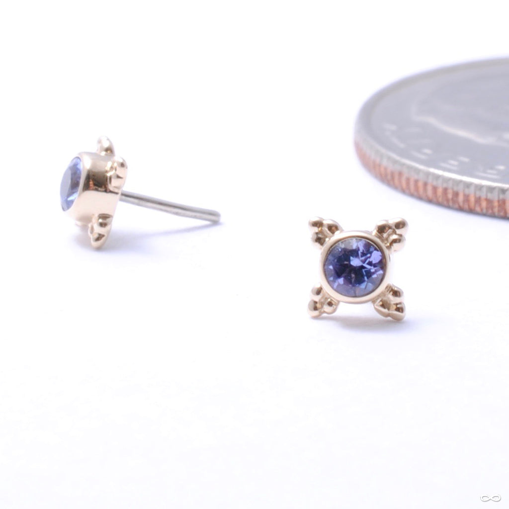 BVLA - Mini Kandy Press-fit End in Gold from BVLA - Infinite Body Piercing,  Inc.