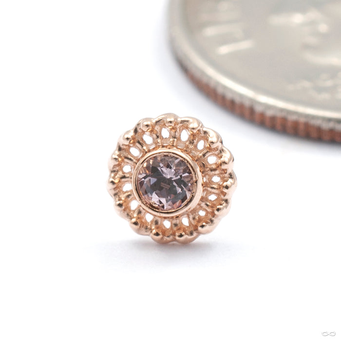 Mini Virtue Press-fit End in Gold from Anatometal with dusty morganite