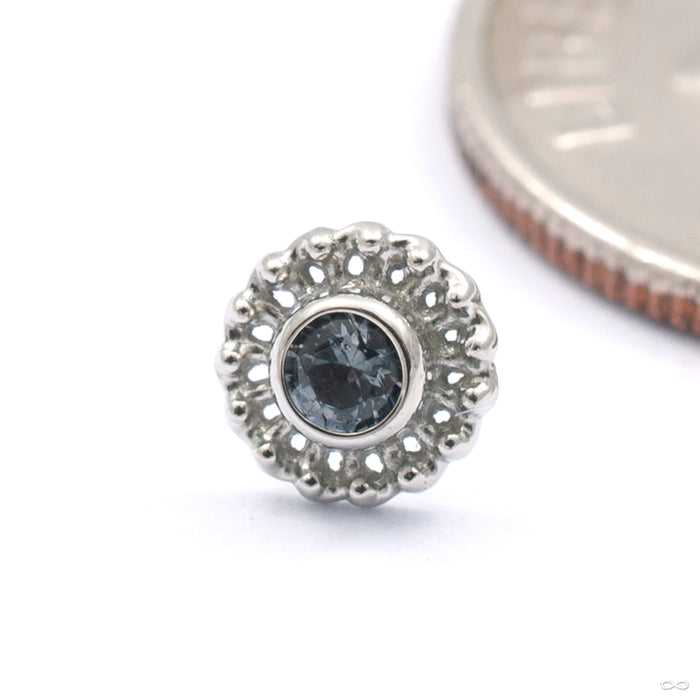 Mini Virtue Press-fit End in Gold from Anatometal with smoke gray