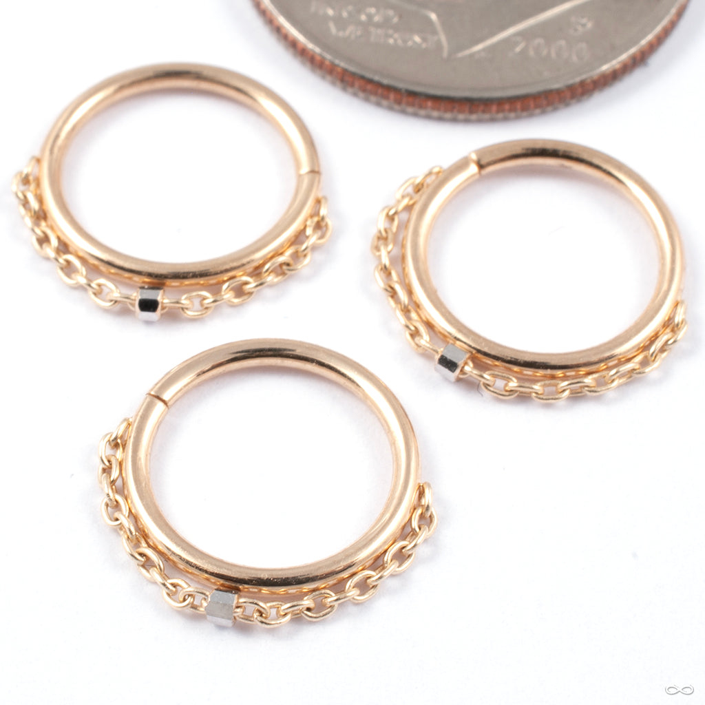 Moment Seam Ring in Gold from Pupil Hall — Infinite Body Piercing, Inc.