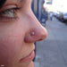 Nostril piercing with Mini Choctaw Press-fit End in Gold from BVLA in Tanzanite
