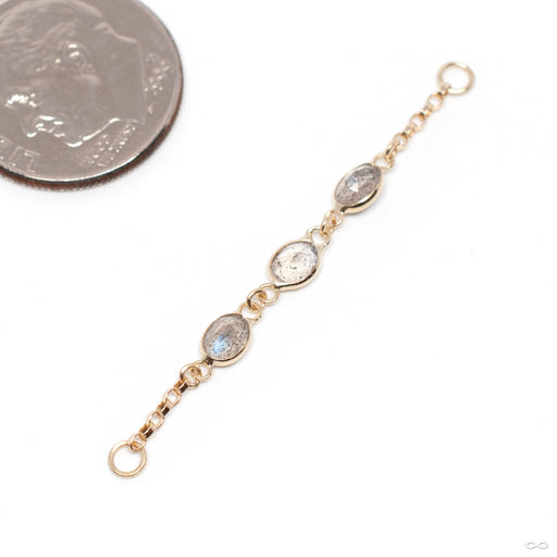Oval Amelia Chain in Gold from Hialeah in yellow gold with labradorite