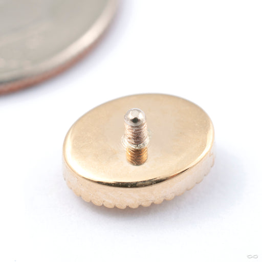 Oval Millgrain Threaded End in Gold from BVLA from the back