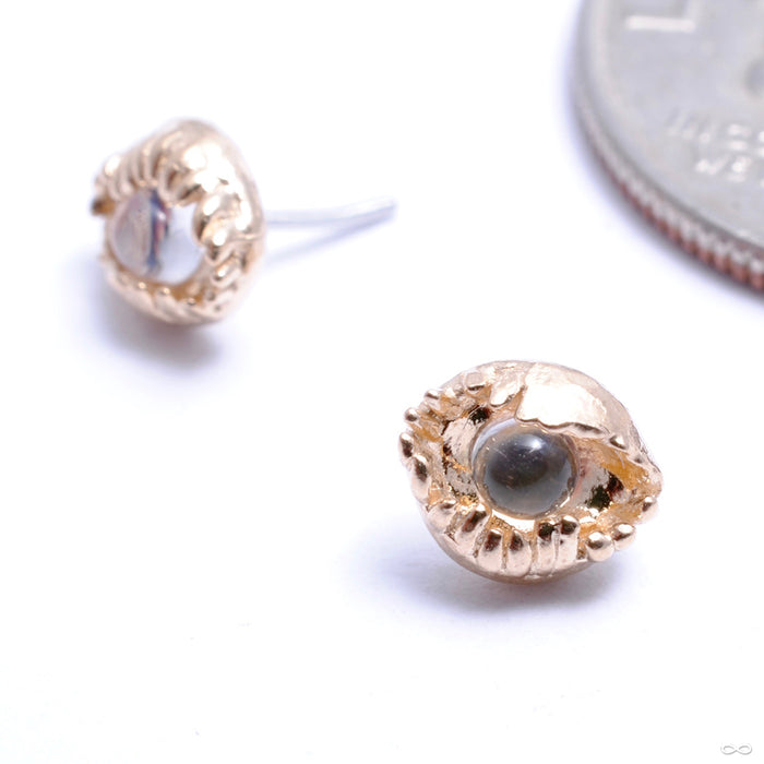 Peek Press-fit End in Gold from Pupil Hall with moonstone cabochon