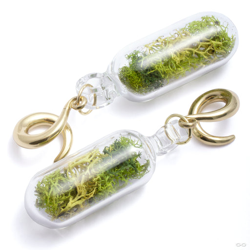 Pill Terrarium Weights with Brass Hooks from Uzu Organics medium detail