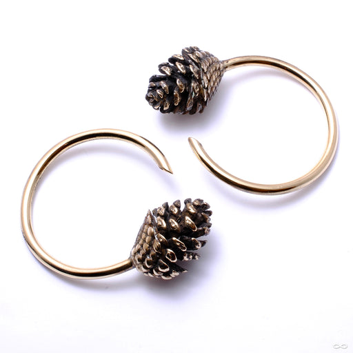 Pine Cone Weights from Eleven44 in brass