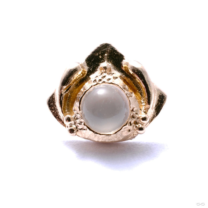 Queen Mother Press-fit End in Gold from Pupil Hall with moonstone