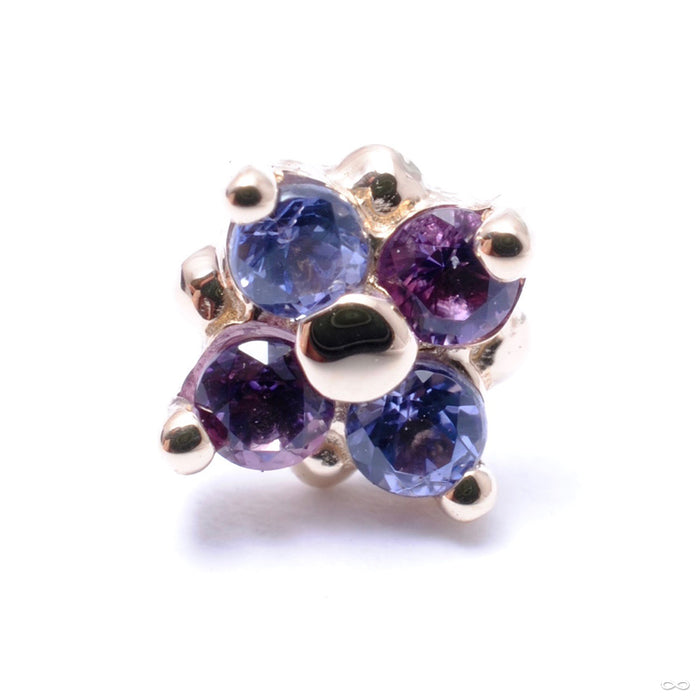 Reema Press-fit End in Gold from BVLA with Tanzanite & Amethyst