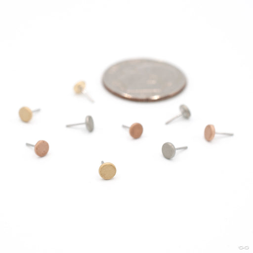 Sandblasted Disk Press-fit End in Gold from Anatometal in assorted materials