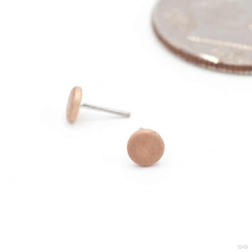 Sandblasted Disk Press-fit End in Gold from Anatometal in rose gold