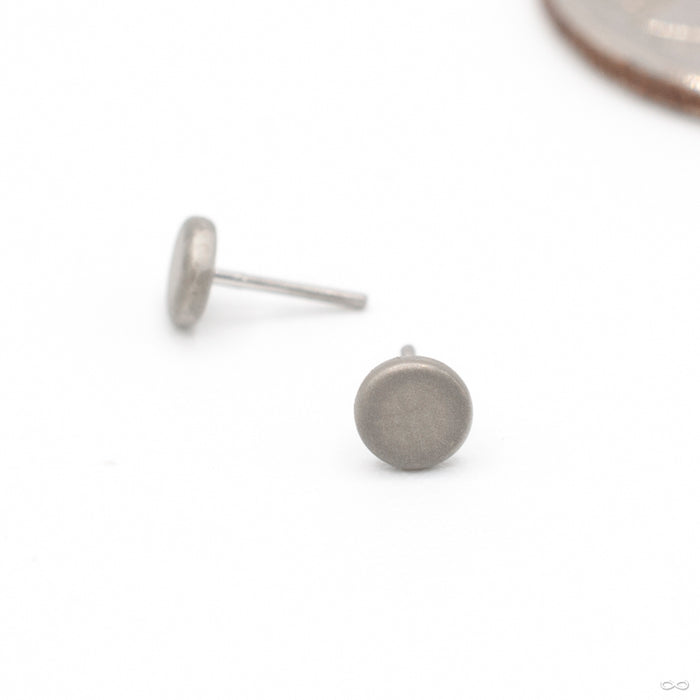 Sandblasted Disk Press-fit End in Gold from Anatometal in white gold
