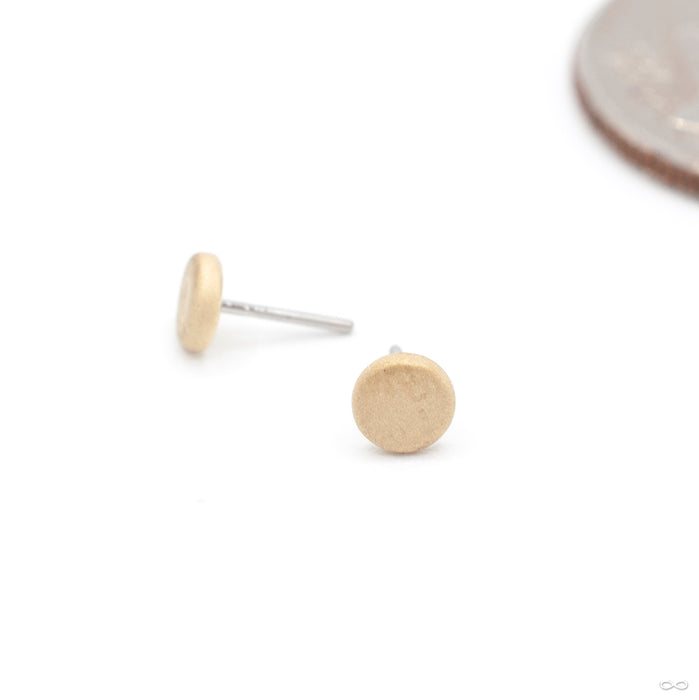 Sandblasted Disk Press-fit End in Gold from Anatometal in yellow gold