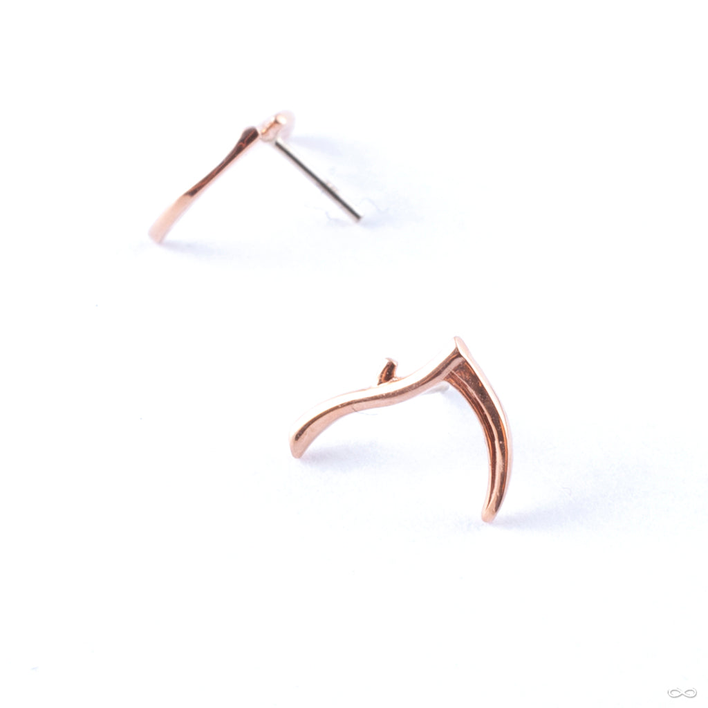 Junipurr Jewelry — Infinite Body Piercing, Inc.