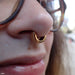 Double Eclipso Clicker from Tether Jewelry in a Septum piercing