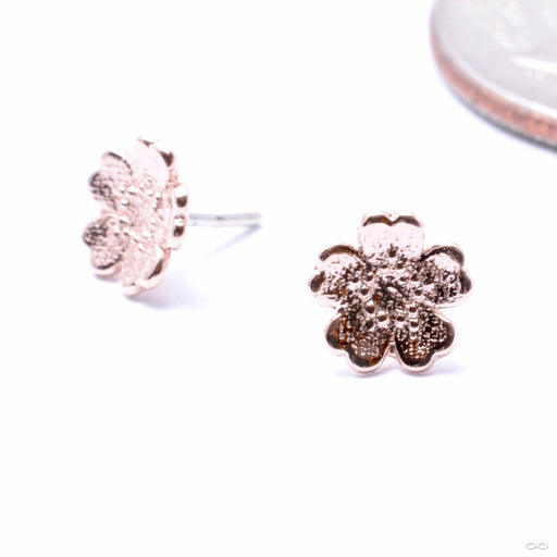 Simple Daisy Press-fit End in Gold from BVLA in rose gold