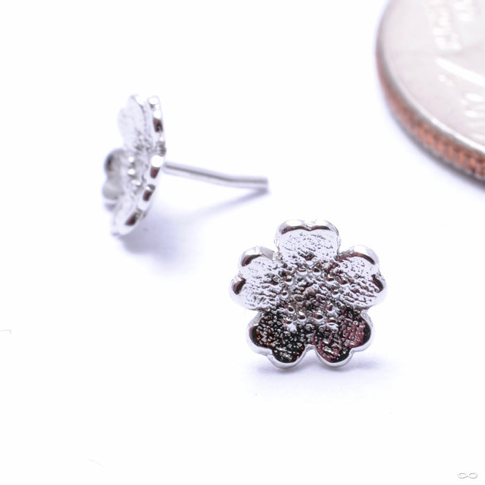 Simple Daisy Press-fit End in Gold from BVLA in white gold