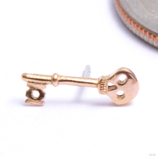 Skeleton Key Press-fit End in Gold from Phoenix Revival Jewelry in rose gold