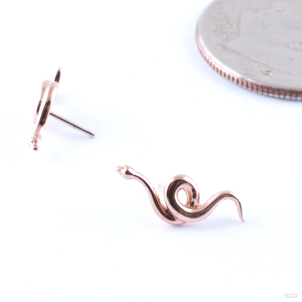 Junipurr Jewelry — Infinite Body Piercing, Inc.