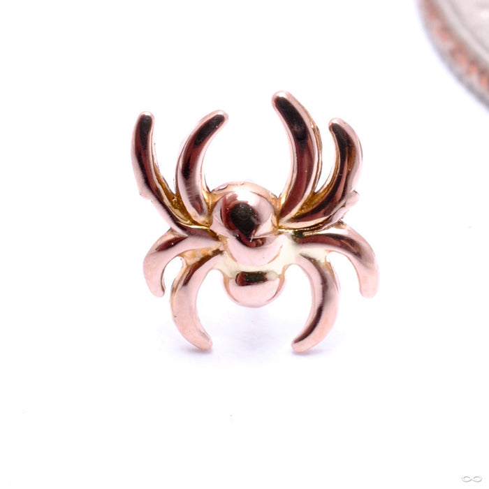 Spider Press-fit End in Gold from LeRoi in rose gold