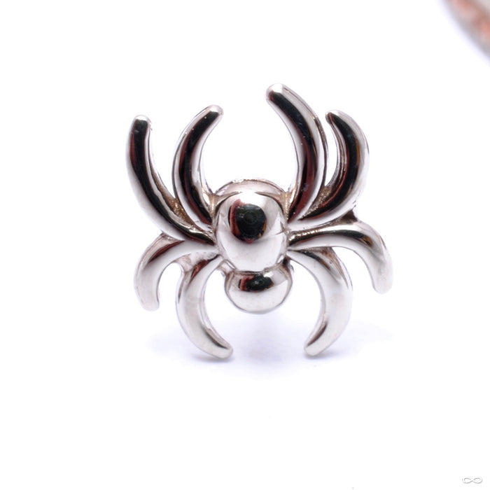 Spider Press-fit End in Gold from LeRoi in white gold