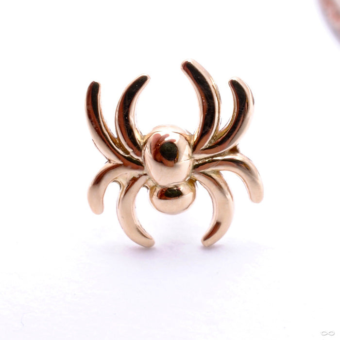 Spider Press-fit End in Gold from LeRoi in yellow gold