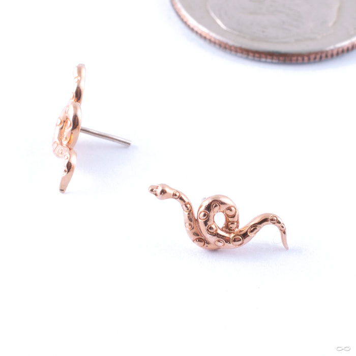 Textured Snake Press-fit End in Gold from Junipurr Jewelry in rose gold