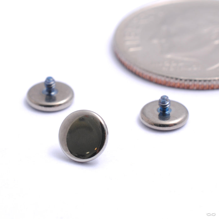 Threaded Titanium End Disk Threaded End in Titanium from Anatometal — Infinite Body Piercing ...