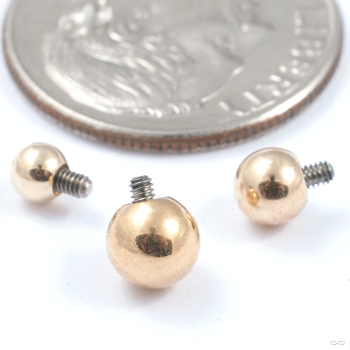 Ball Threaded End in Gold from Leroi in yellow gold