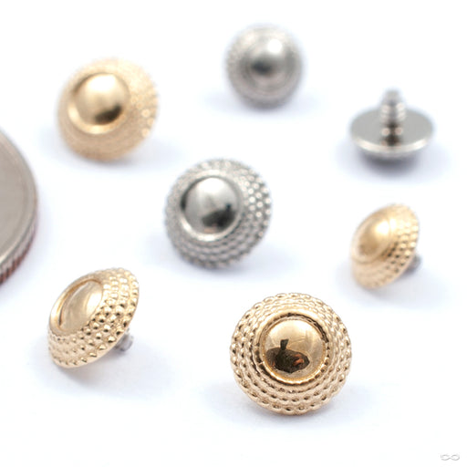 Hera Threaded End in Gold from Anatometal in assorted sizes and materials