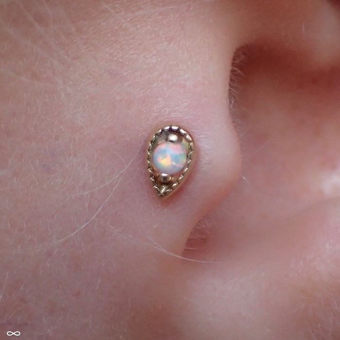 Tragus Piercing with Millgrain Pear Press-fit End in Yellow Gold with White Opal from LeRoi