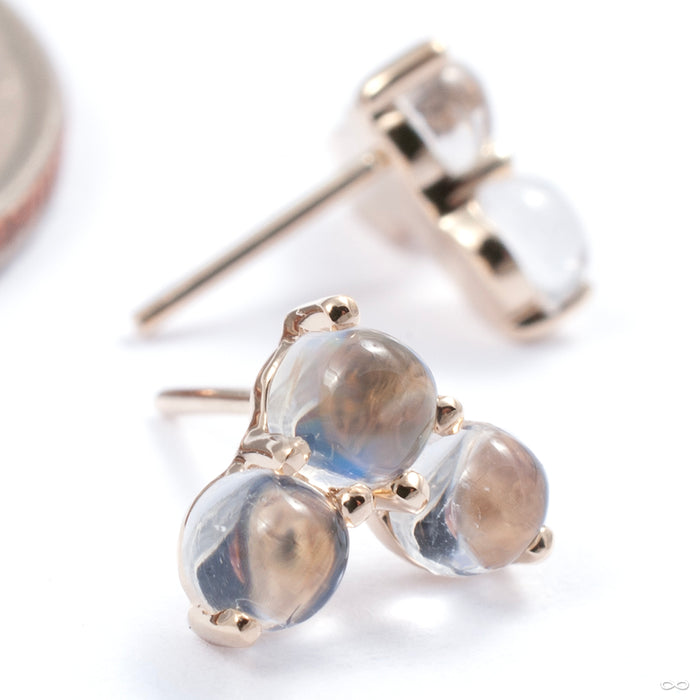 Vee Press-fit End in Gold from Modern Mood in yellow gold with moonstone