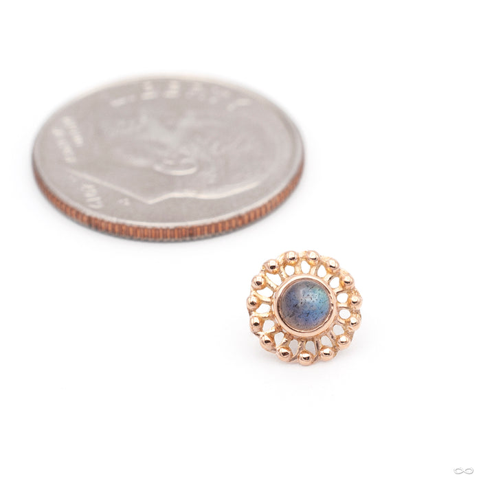 Virtue Threaded End in Gold from Anatometal with labradorite