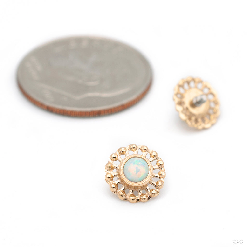 Virtue Threaded End in Gold from Anatometal