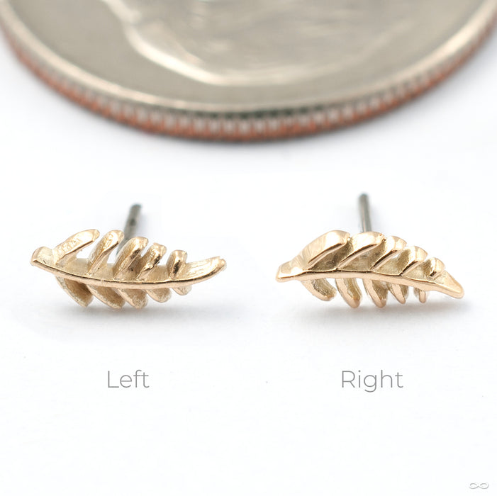 Wee Fronds Press-fit End in Gold from Maya Jewelry