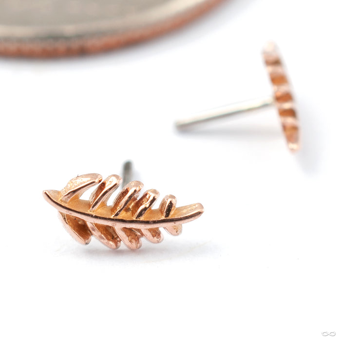 Wee Fronds Press-fit End in Gold from Maya Jewelry in rose gold left