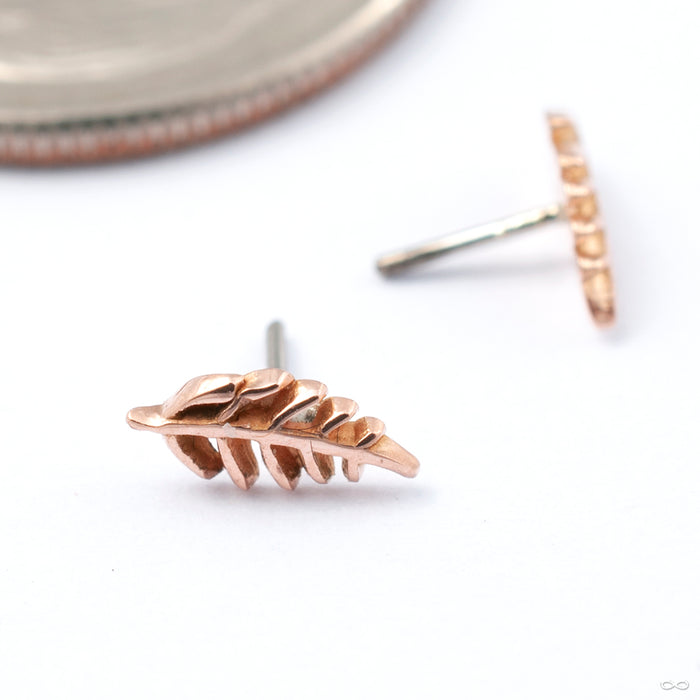 Wee Fronds Press-fit End in Gold from Maya Jewelry in rose gold right