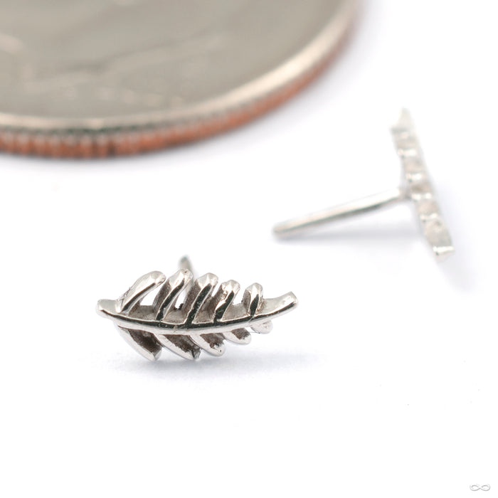 Wee Fronds Press-fit End in Gold from Maya Jewelry in white gold left