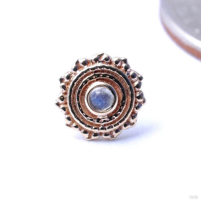 Afghan Press-fit End in Gold from BVLA with Rainbow Moonstone