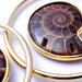 Ammonite Hoops from Quetzalli in Brass