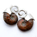 Mini Ammonite Weights from Quetzalli