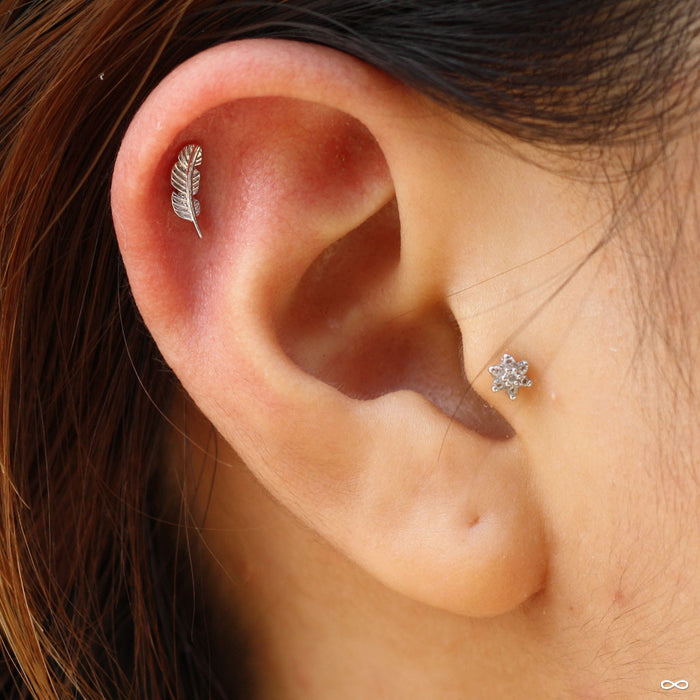 Outer helix piercing with Feather Press-fit End in Gold from BVLA in 14k White Gold