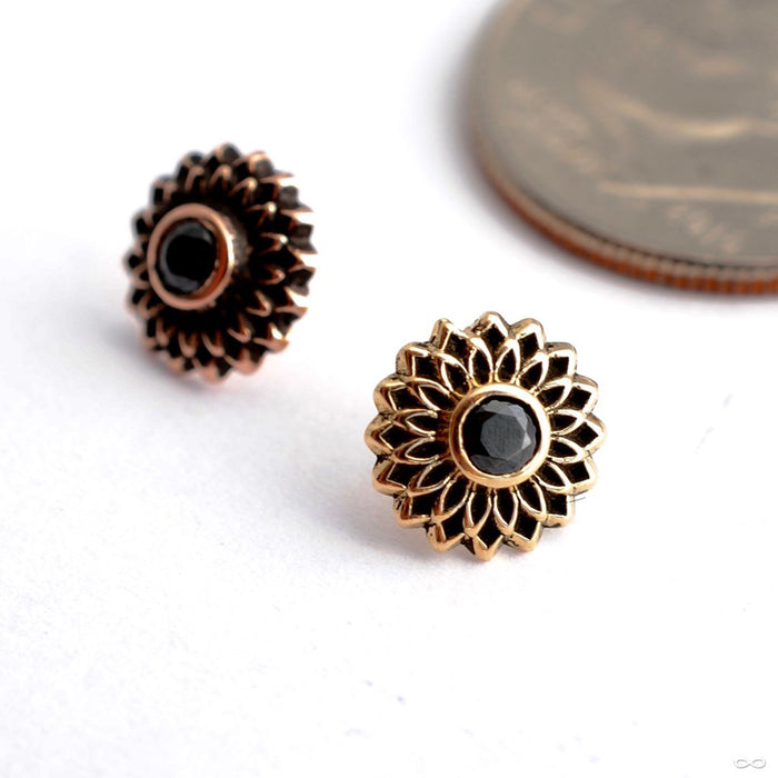 Thrive Press-fit End in Gold from Maya Jewelry with Black CZ