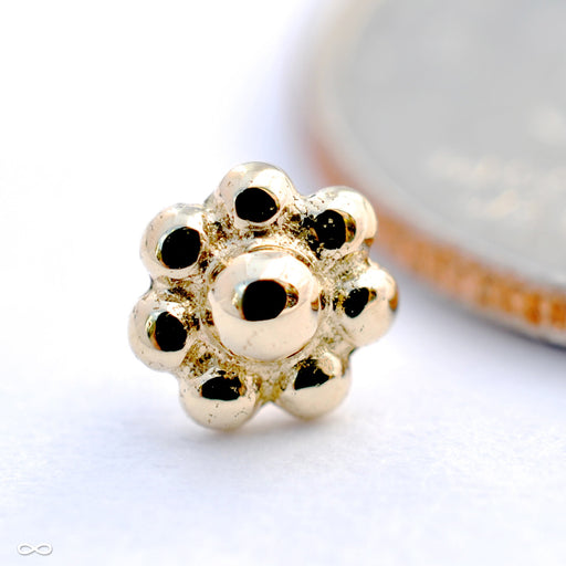 Bead Flower Cluster Press-fit End in Gold from BVLA in Yellow Gold
